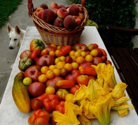 Frutti