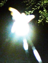 Orbs