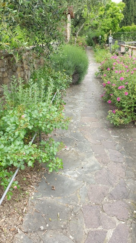 Vialetto