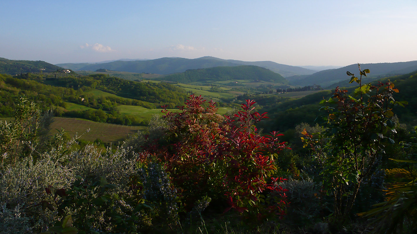 P1240223_risultato