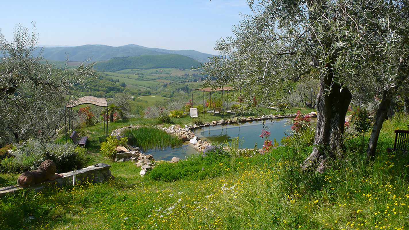 P1240232_risultato